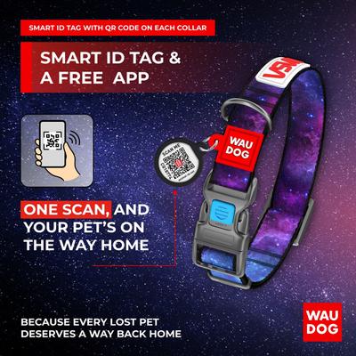 Show full view: WAUDOG NASA Nylon Standard Dog Collar, X-Large: 13 3/4 to 22 3/4-in neck, 1-in wide, Space slide 5 of 7