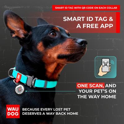 Show full view: WAUDOG Glows In The Dark Waterproof Buckle Dog Collar, 14 to 23-in neck, 1-in wide slide 5 of 7