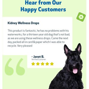 Pet Wellbeing Kidney Support GOLD Bacon Flavored Liquid Kidney Supplement for Dogs, 4-oz bottle