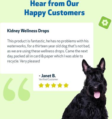 Show full view: Pet Wellbeing Kidney Support GOLD Bacon Flavored Liquid Kidney Supplement for Dogs, 2-oz bottle slide 9 of 9