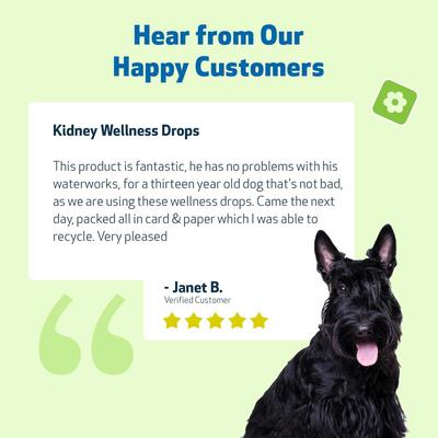 Show full view: Pet Wellbeing Kidney Support GOLD Bacon Flavored Liquid Kidney Supplement for Dogs, 2-oz bottle slide 10 of 11