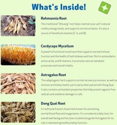 Pet Wellbeing Kidney Support GOLD Bacon Flavored Liquid Kidney Supplement for Dogs, 4-oz bottle slide 2 of 9