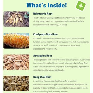 Pet Wellbeing Kidney Support GOLD Bacon Flavored Liquid Kidney Supplement for Dogs, 4-oz bottle