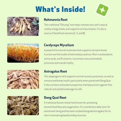 Show full view: Pet Wellbeing Kidney Support GOLD Bacon Flavored Liquid Kidney Supplement for Dogs, 2-oz bottle slide 8 of 11