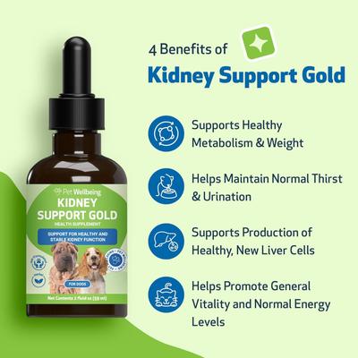 Show full view: Pet Wellbeing Kidney Support GOLD Bacon Flavored Liquid Kidney Supplement for Dogs, 2-oz bottle slide 5 of 11