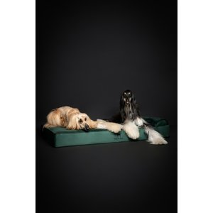 Noah & Paw Machine Washable Orthopedic Sofa Dog Bed, Dark Green, 55 x 45 x 9.5-in
