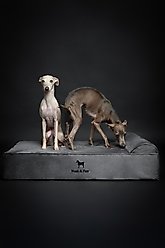 Noah & Paw Machine Washable Orthopedic Sofa Dog Bed, Grey, 35 x 25 x 8.7-in slide 2 of 7
