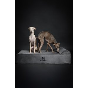 Noah & Paw Machine Washable Orthopedic Sofa Dog Bed, Grey, 35 x 25 x 8.7-in
