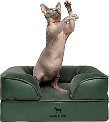 Noah & Paw Machine Washable Orthopedic Classic Dog Bed, Green, Small