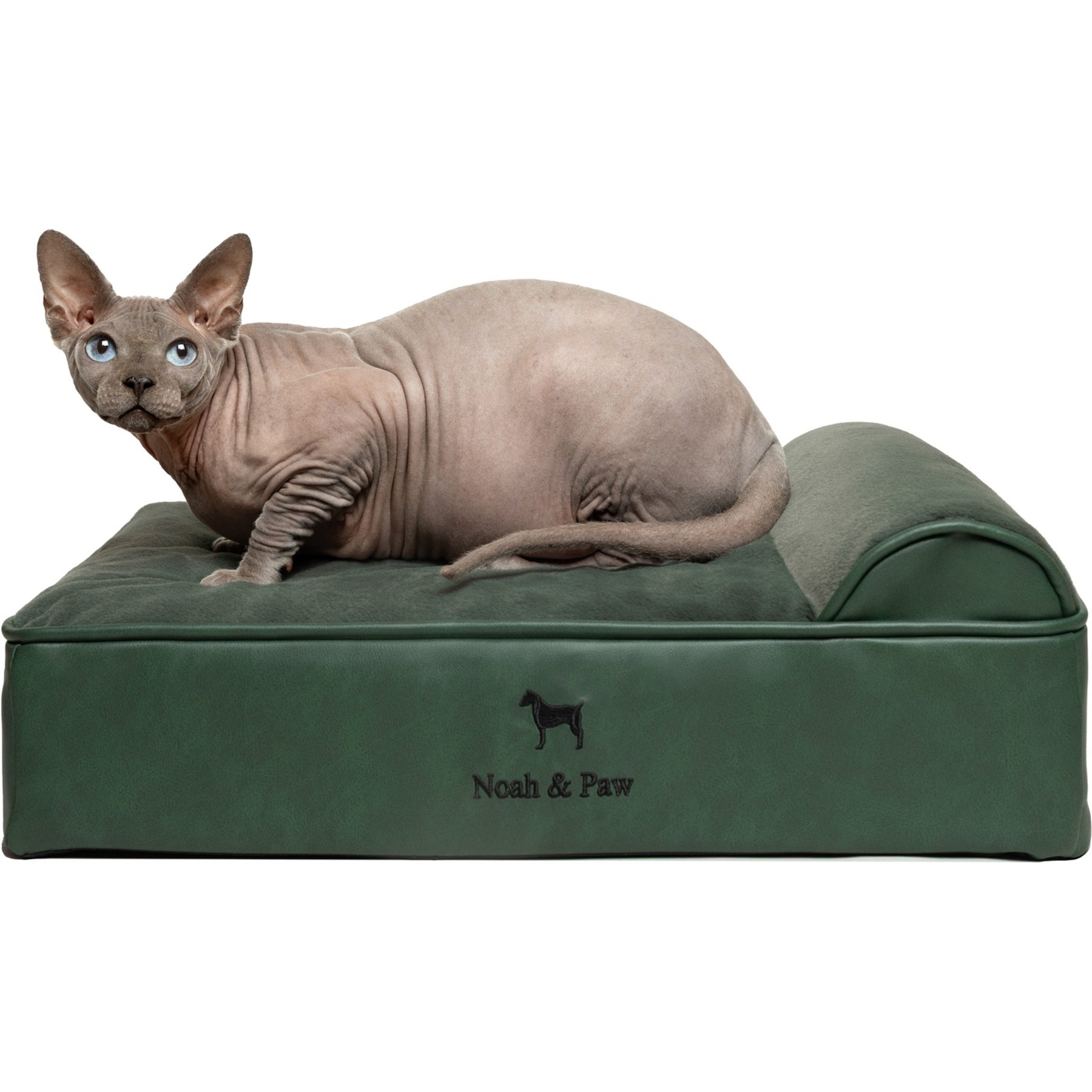 Noah & Paw Machine Washable Orthopedic Sofa Dog Bed, Green, Small