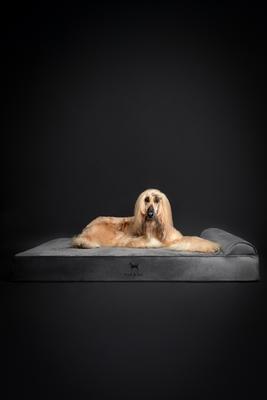 Show full view: Noah & Paw Machine Washable Orthopedic Sofa Dog Bed, Grey, 55 x 45 x 9.5-in slide 7 of 8