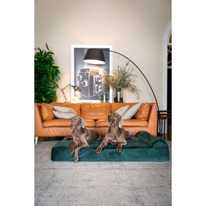 Noah & Paw Machine Washable Orthopedic Sofa Dog Bed, Dark Green, 55 x 45 x 9.5-in