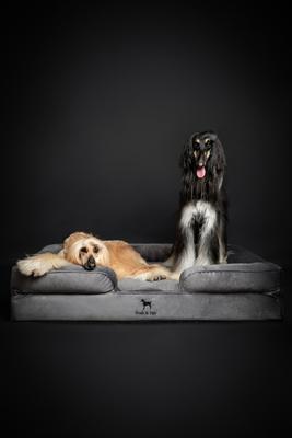 Show full view: Noah & Paw Machine Washable Orthopedic Classic Dog Bed, Grey, XX-Large slide 6 of 8
