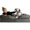 Show in main carousel: Noah & Paw Machine Washable Orthopedic Classic Dog Bed, Grey, XX-Large slide 1 of 8
