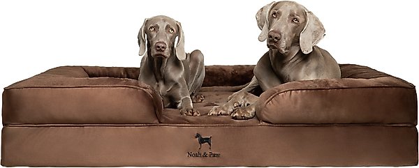 Noah & Paw Velvet Collection Orthopedic Dog Bed