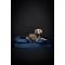 Show in main carousel: Noah & Paw Machine Washable Orthopedic Sofa Dog Bed, Navy Blue, 45 x 35 x 11-in slide 3 of 8