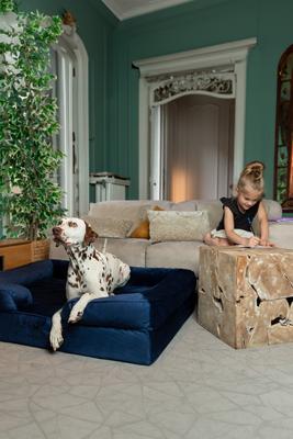 Show full view: Noah & Paw Machine Washable Orthopedic Sofa Dog Bed, Navy Blue, 45 x 35 x 11-in slide 2 of 8