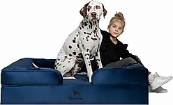 Noah & Paw Machine Washable Orthopedic Sofa Dog Bed, Navy Blue, 45 x 35 x 11-in
