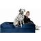 Show in main carousel: Noah & Paw Machine Washable Orthopedic Sofa Dog Bed, Navy Blue, 45 x 35 x 11-in slide 1 of 8