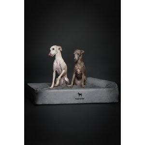 Noah & Paw Machine Washable Orthopedic Sofa Dog Bed, Grey, 35 x 25 x 8.7-in