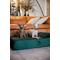 Show in main carousel: Noah & Paw Machine Washable Orthopedic Sofa Dog Bed, Dark Green, 35 x 25 x 8.7-in slide 6 of 9
