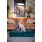 Show in main carousel: Noah & Paw Machine Washable Orthopedic Sofa Dog Bed, Dark Green, 35 x 25 x 8.7-in slide 2 of 9