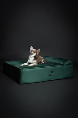Show full view: Noah & Paw Machine Washable Orthopedic Sofa Dog Bed, Dark Green, 28 x 23 x 7.5-in slide 6 of 10