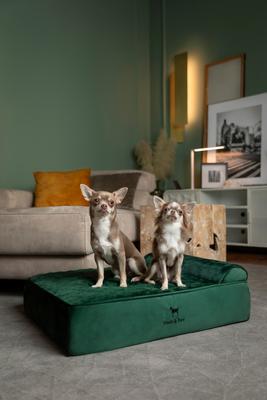 Show full view: Noah & Paw Machine Washable Orthopedic Sofa Dog Bed, Dark Green, 28 x 23 x 7.5-in slide 3 of 10