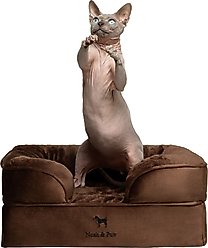 Noah & Paw Machine Washable Orthopedic Sofa Dog Bed, Brown, 20 x 15 x 8-in