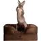 Show in main carousel: Noah & Paw Machine Washable Orthopedic Sofa Dog Bed, Brown, 20 x 15 x 8-in slide 1 of 9