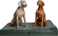 Noah & Paw Machine Washable Orthopedic Sofa Dog Bed, Green, 55 x 45 x 9.5-in