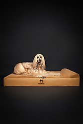 Noah & Paw Machine Washable Orthopedic Sofa Dog Bed, Camel, XX-Large slide 2 of 8