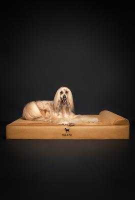 Show full view: Noah & Paw Machine Washable Orthopedic Sofa Dog Bed, Camel, 55 x 45 x 9.5-in slide 7 of 9