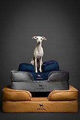 Noah & Paw Machine Washable Orthopedic Sofa Dog Bed, Charcoal, X-Large slide 2 of 8