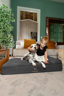 Show full view: Noah & Paw Machine Washable Orthopedic Sofa Dog Bed, Charcoal, 45 x 35 x 9.1-in slide 5 of 9
