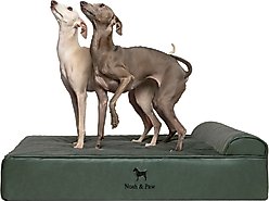 Noah & Paw Machine Washable Orthopedic Sofa Dog Bed, Green, 35 x 25 x 8.7-in