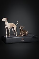 Noah & Paw Machine Washable Orthopedic Sofa Dog Bed, Charcoal, Large slide 2 of 6