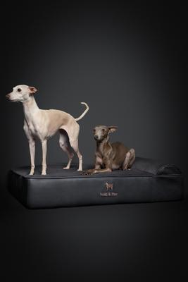 Show full view: Noah & Paw Machine Washable Orthopedic Sofa Dog Bed, Charcoal, 35 x 25 x 8.7-in slide 6 of 7