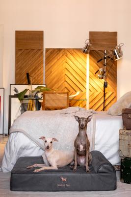 Show full view: Noah & Paw Machine Washable Orthopedic Sofa Dog Bed, Charcoal, 35 x 25 x 8.7-in slide 2 of 7