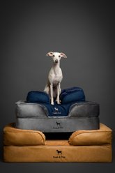 Noah & Paw Machine Washable Orthopedic Classic Dog Bed, Green, Large slide 2 of 8
