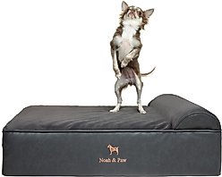 Noah & Paw Machine Washable Orthopedic Sofa Dog Bed, Charcoal, Medium