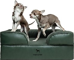 Noah & Paw Machine Washable Orthopedic Classic Dog Bed, Green, Medium
