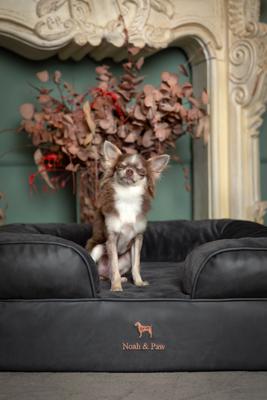 Show full view: Noah & Paw Machine Washable Orthopedic Sofa Dog Bed, Charcoal, 28 x 23 x 11-in slide 6 of 10