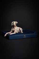Noah & Paw Machine Washable Orthopedic Sofa Dog Bed, Dark Blue, X-Large slide 2 of 8