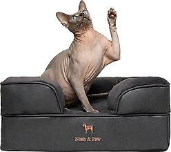 Noah & Paw Machine Washable Orthopedic Sofa Dog Bed, Charcoal, 20 x 15 x 8-in