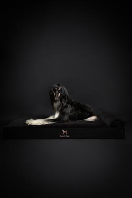 Show full view: Noah & Paw Machine Washable Orthopedic Sofa Dog Bed, Black, 55 x 45 x 9.5-in slide 8 of 9