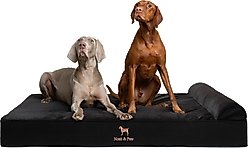 Noah & Paw Machine Washable Orthopedic Sofa Dog Bed, Black, 55 x 45 x 9.5-in