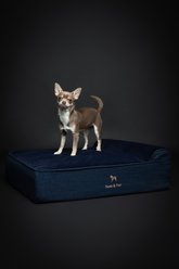 Noah & Paw Machine Washable Orthopedic Sofa Dog Bed, Dark Blue, Medium slide 2 of 8