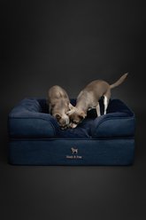 Noah & Paw Machine Washable Orthopedic Classic Dog Bed, Dark Blue, Medium slide 2 of 8