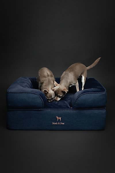 Noah & Paw Denim Collection Orthopedic Dog Bed